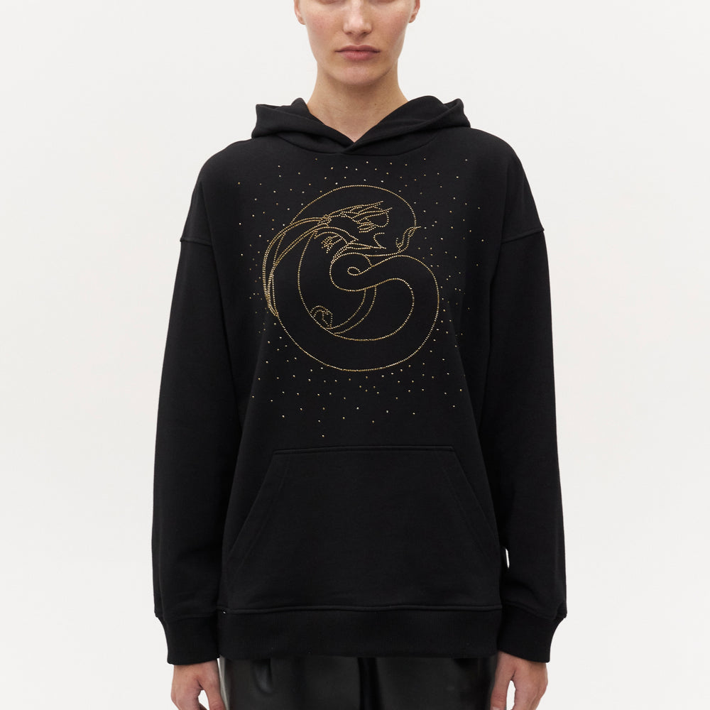 
                      
                        Hoodie "Dragon" Crystal
                      
                    