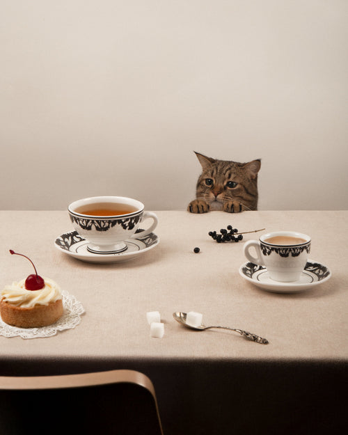 Tea cup | GASANOVA