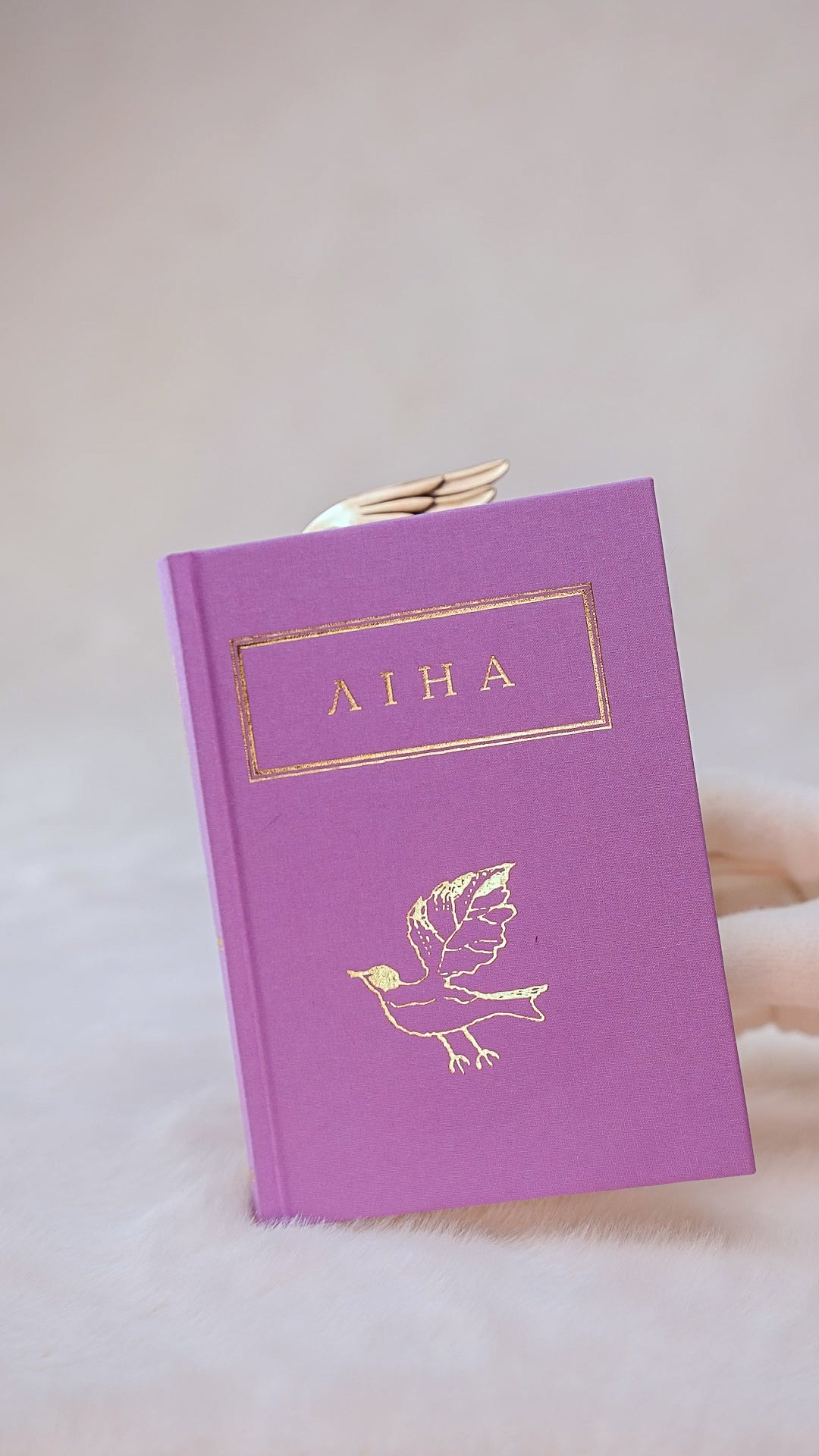 GASANOVA x Lina Kostenko Bookmarks