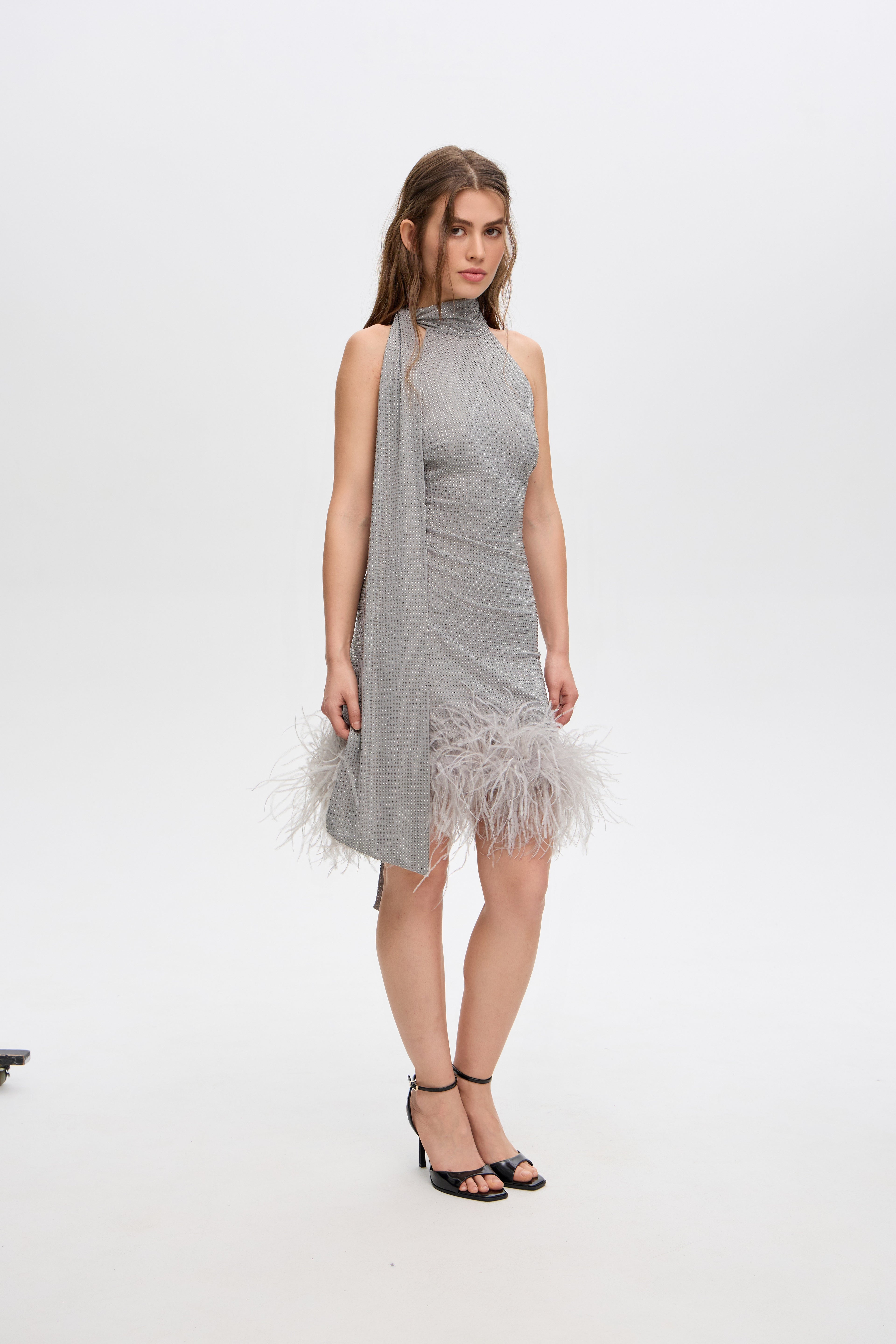 Daria feathered crystall dress